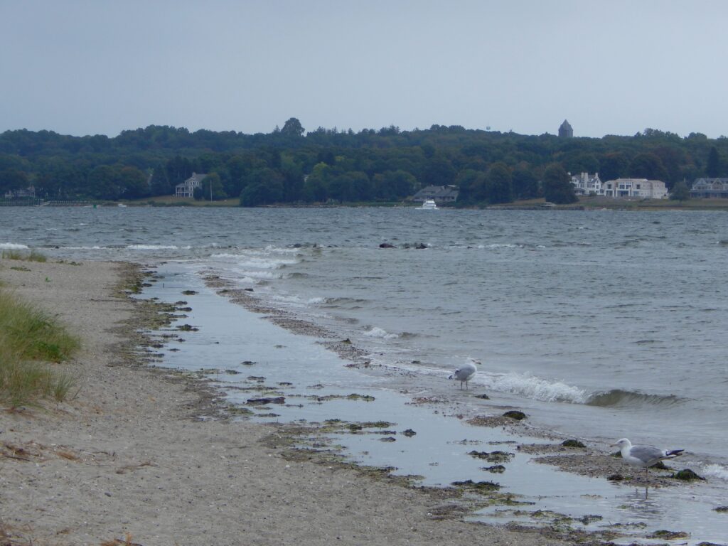 a beach with a body of water and houses in the background (MyCoast AI)