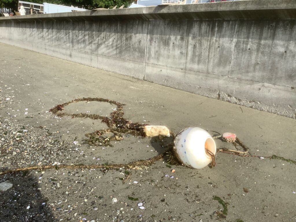 a broken egg on the ground (MyCoast AI)