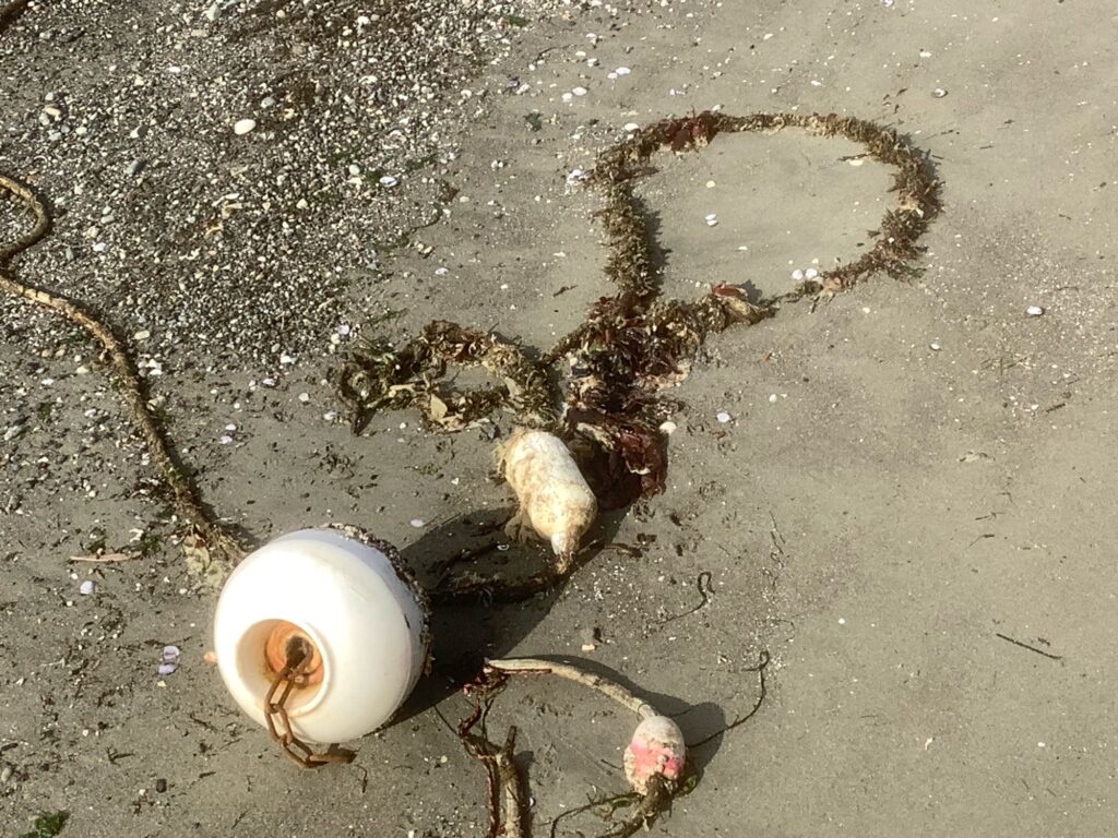a bucket of water on the ground (MyCoast AI)