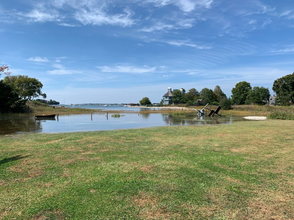 a pond with grass and trees around it (MyCoast AI)