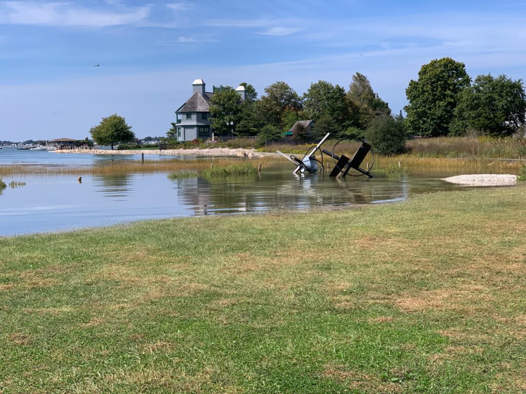 a pond with a slide in it (MyCoast AI)