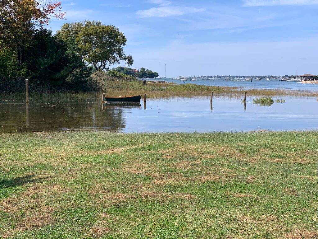 a body of water with grass and trees around it (MyCoast AI)