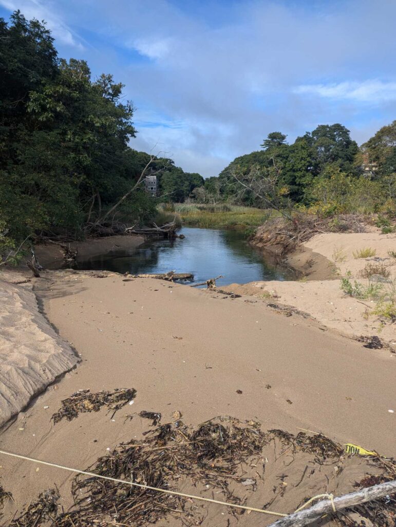 a small river with a small waterfall (MyCoast AI)