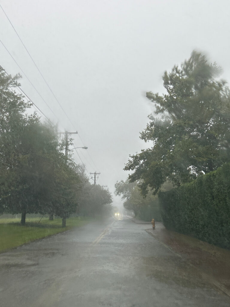 a road with trees on the side (MyCoast AI)