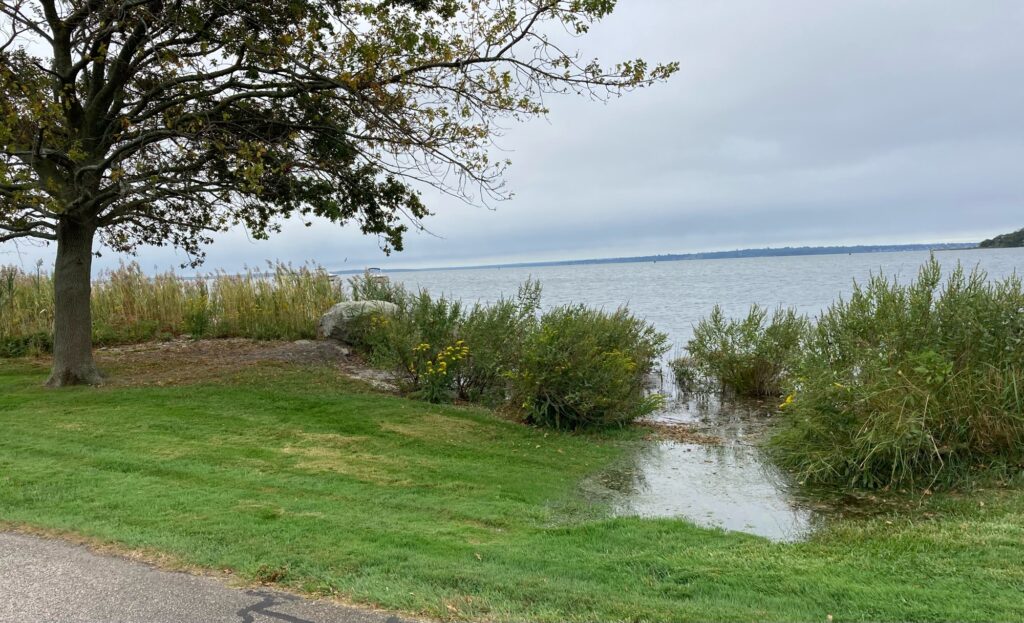 a path leading to a body of water (MyCoast AI)