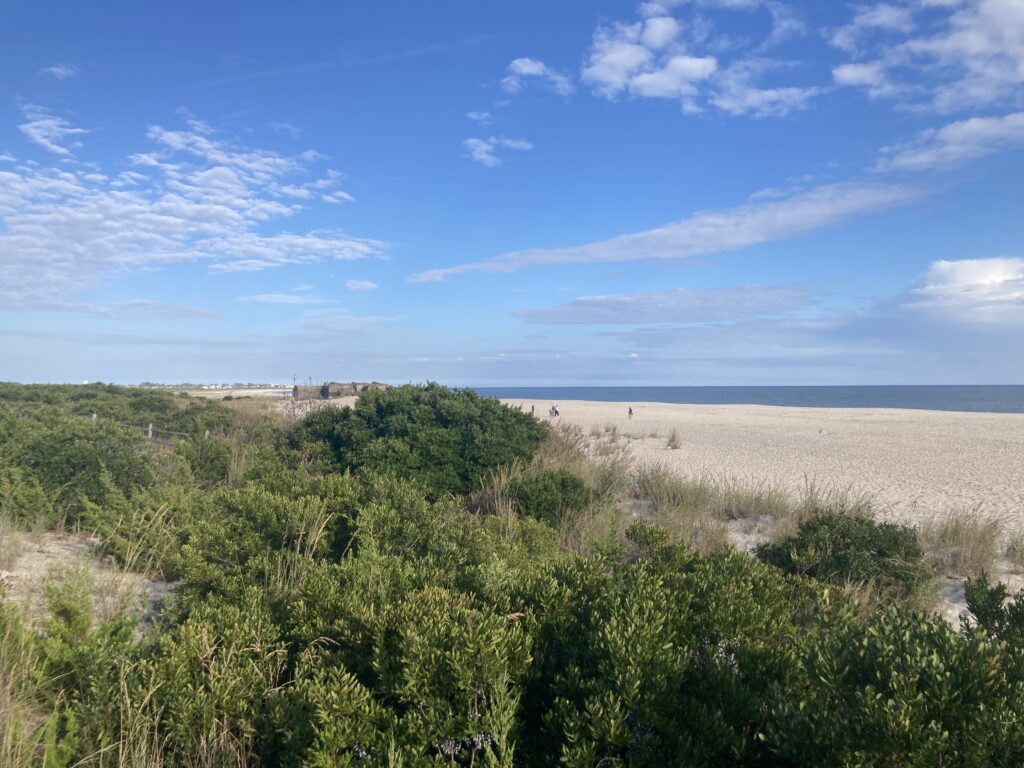 a landscape with bushes and trees (MyCoast AI)