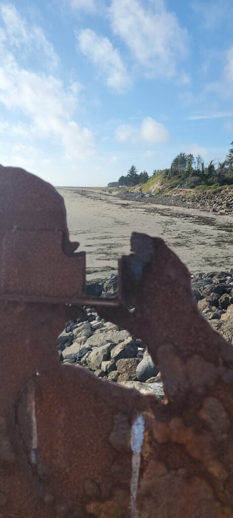 a rocky beach with trees in the background (MyCoast AI)