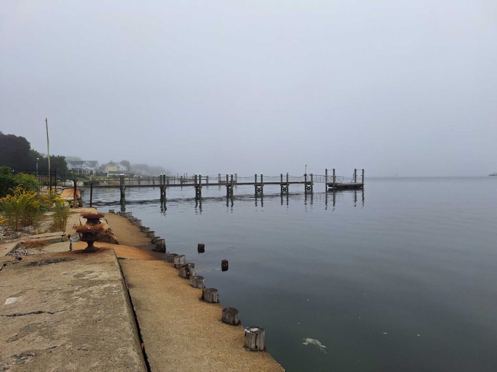 a dock in a body of water (MyCoast AI)