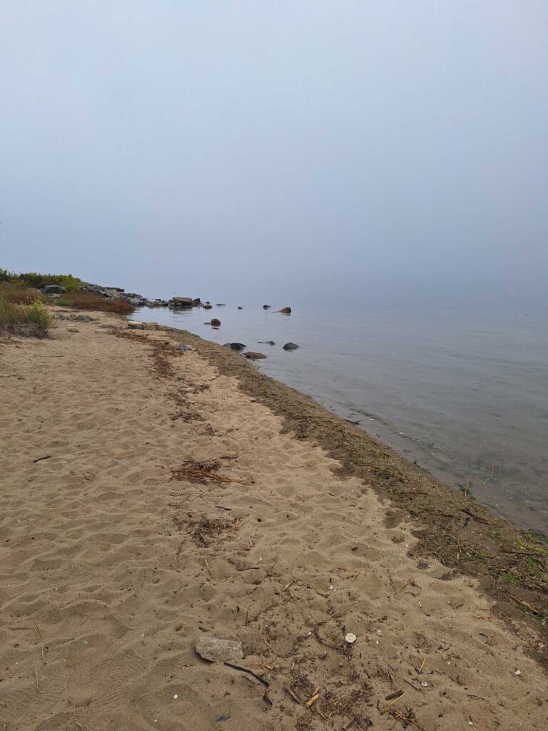 a sandy beach with rocks and water (MyCoast AI)