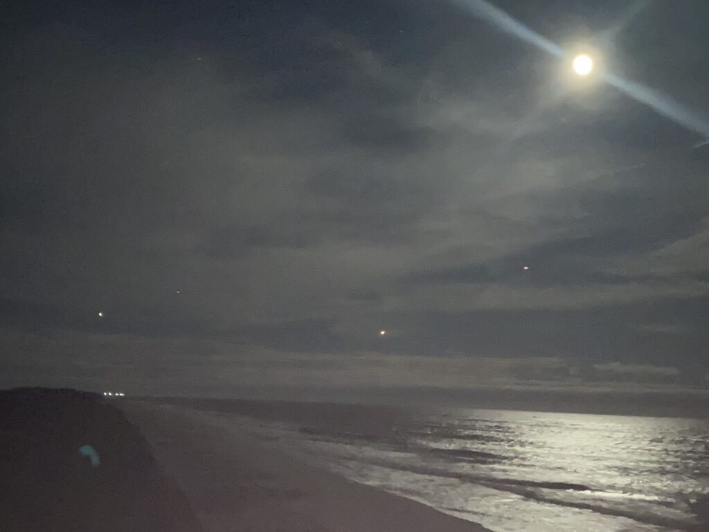 a beach at night (MyCoast AI)