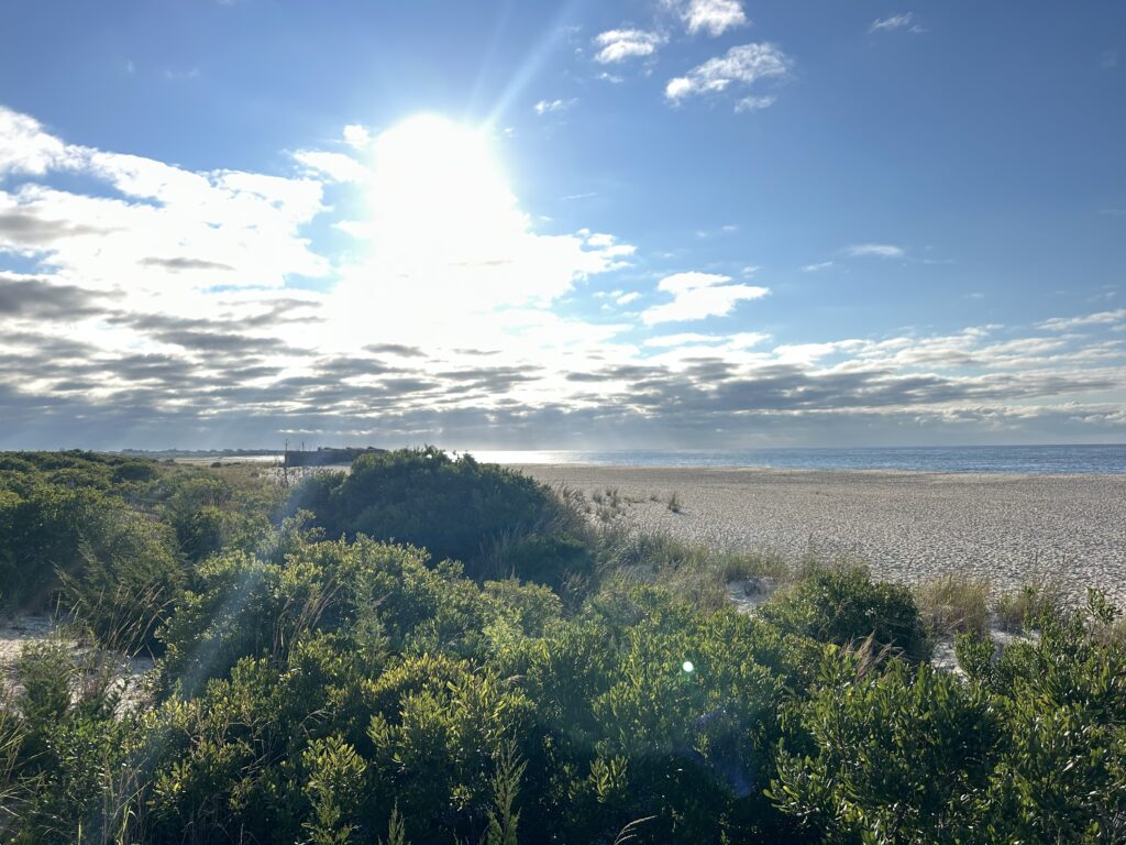 a beach with trees and bushes (MyCoast AI)