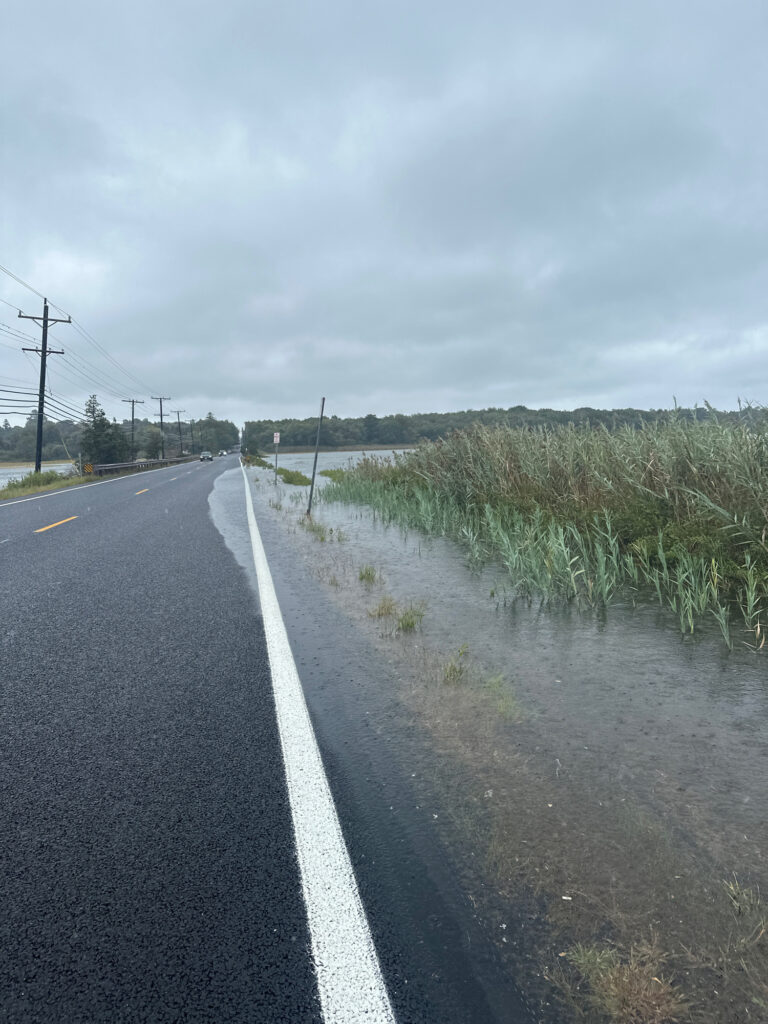 a road with grass on the side (MyCoast AI)