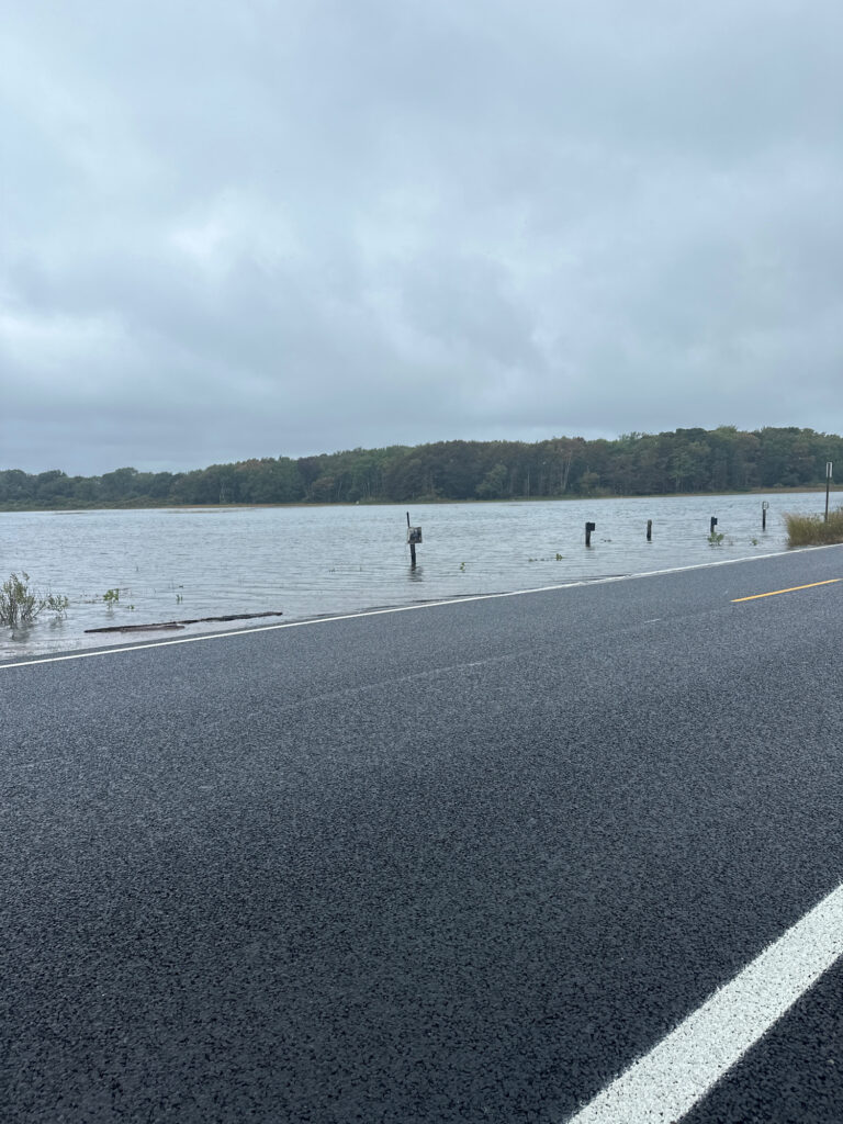 a road next to a body of water (MyCoast AI)