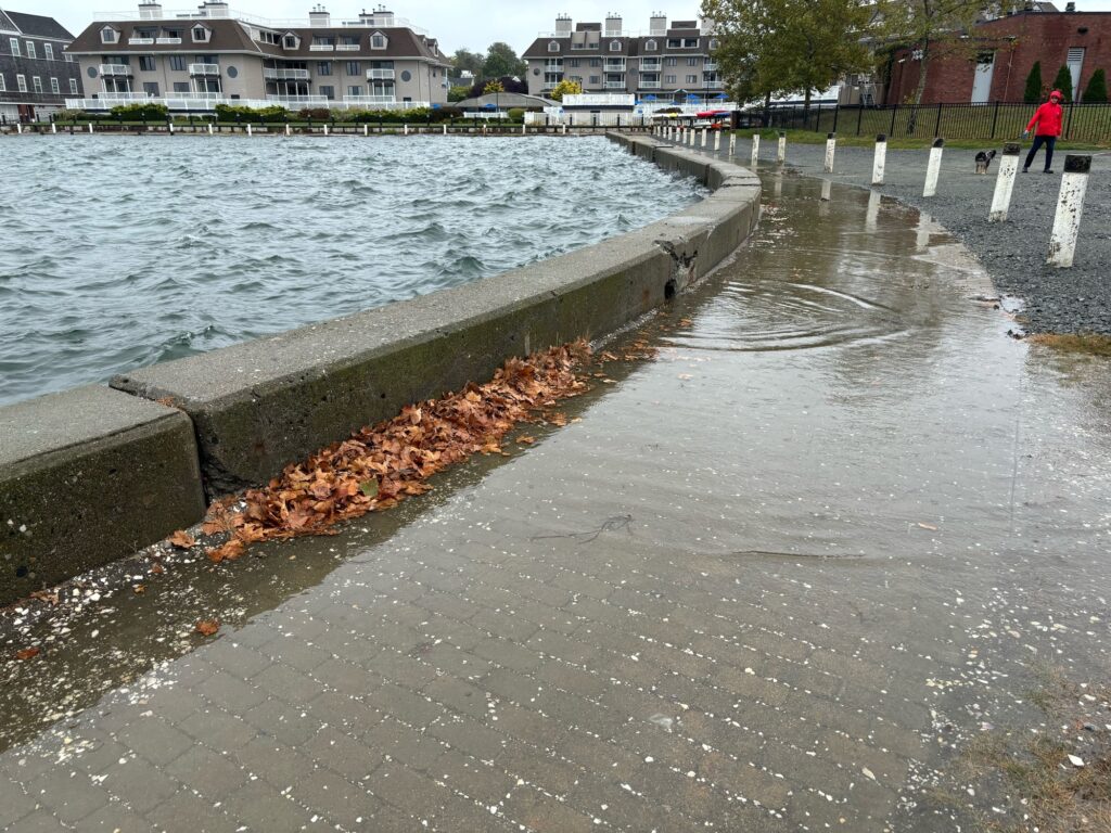 a concrete walkway next to a body of water (MyCoast AI)