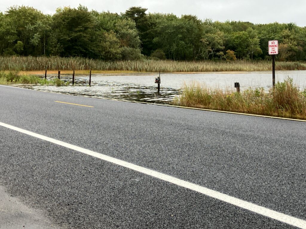 a road with water on the side (MyCoast AI)
