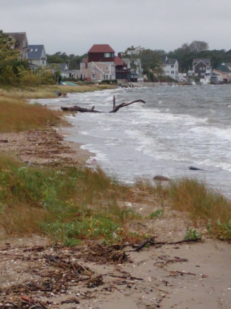 a body of water with houses along it (MyCoast AI)