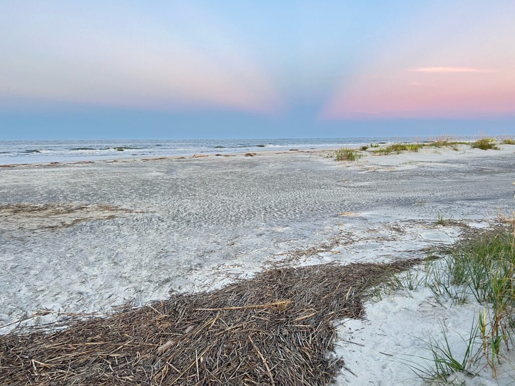 a beach with sand and plants (MyCoast AI)