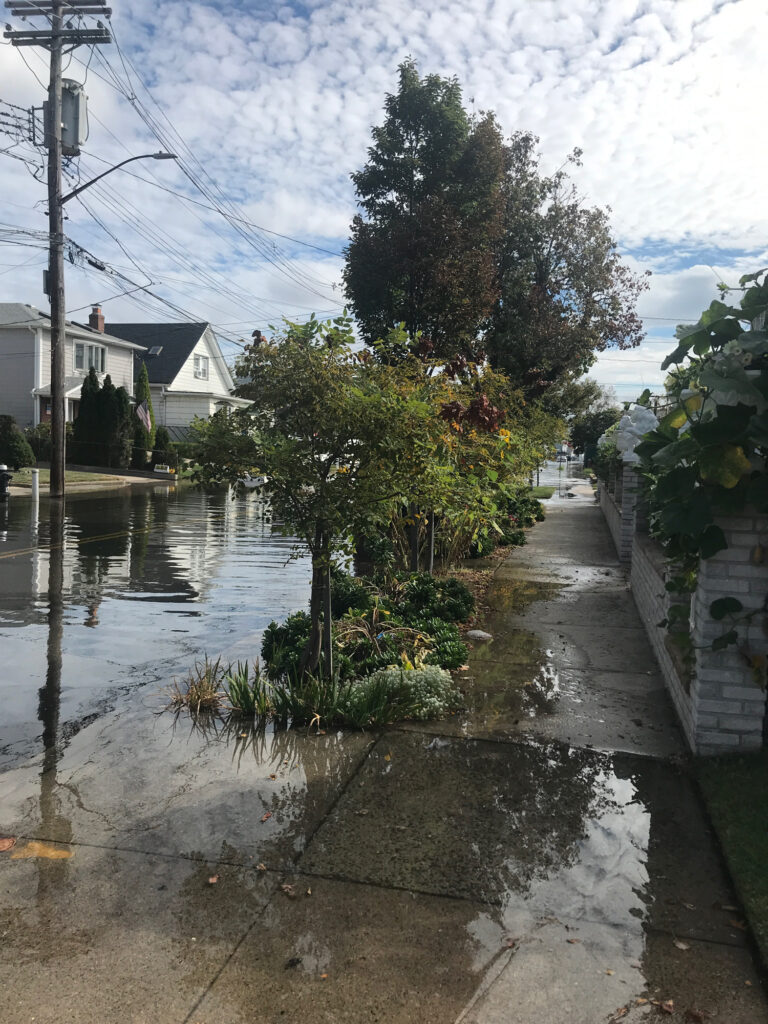 a flooded street with trees and houses (MyCoast AI)