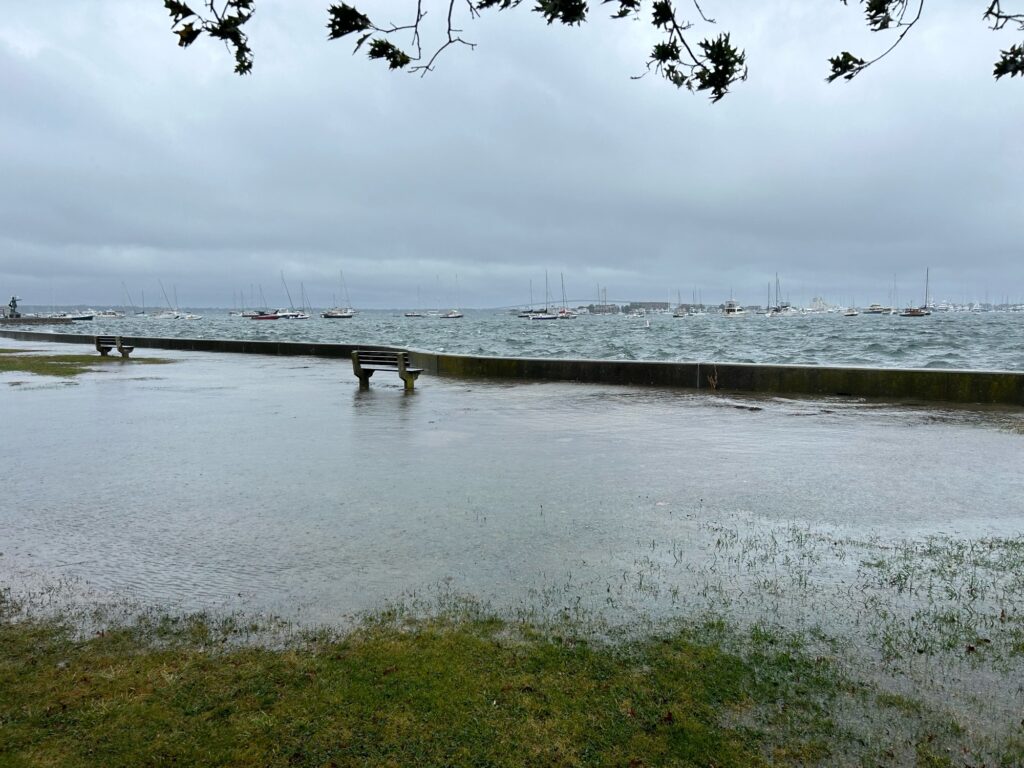 a dock with boats in the water (MyCoast AI)
