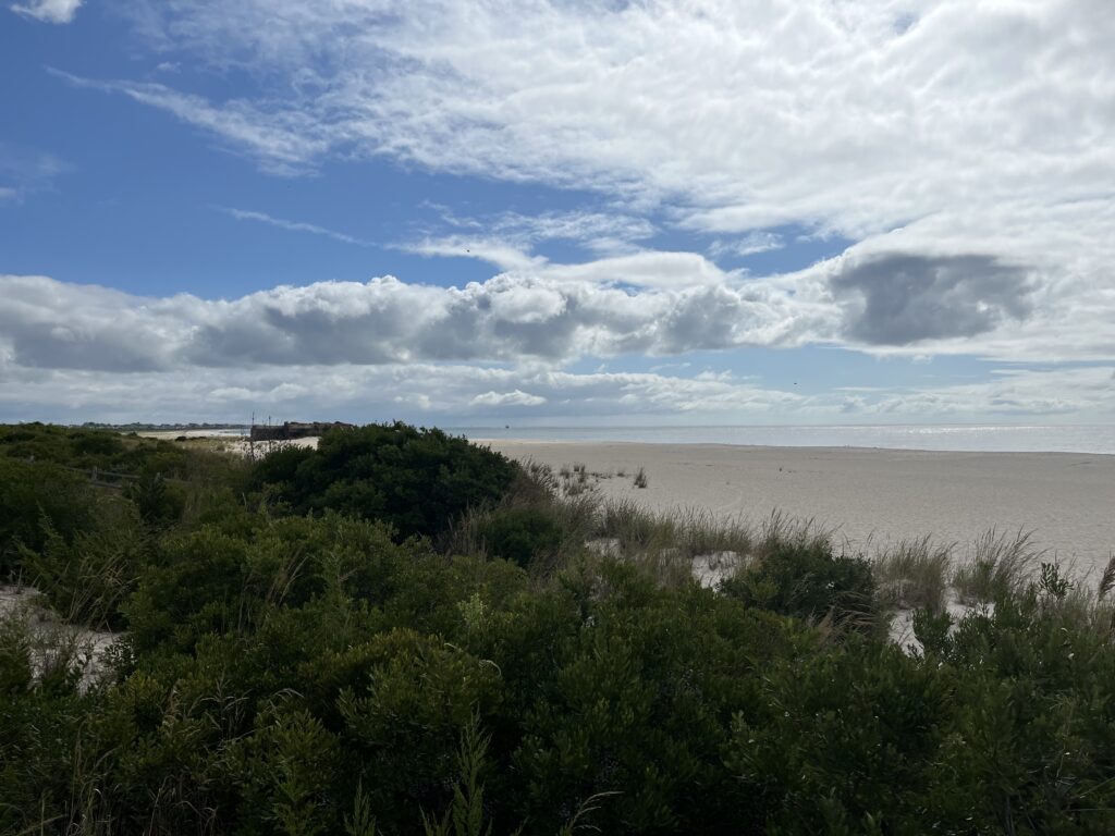 a beach with trees and bushes (MyCoast AI)