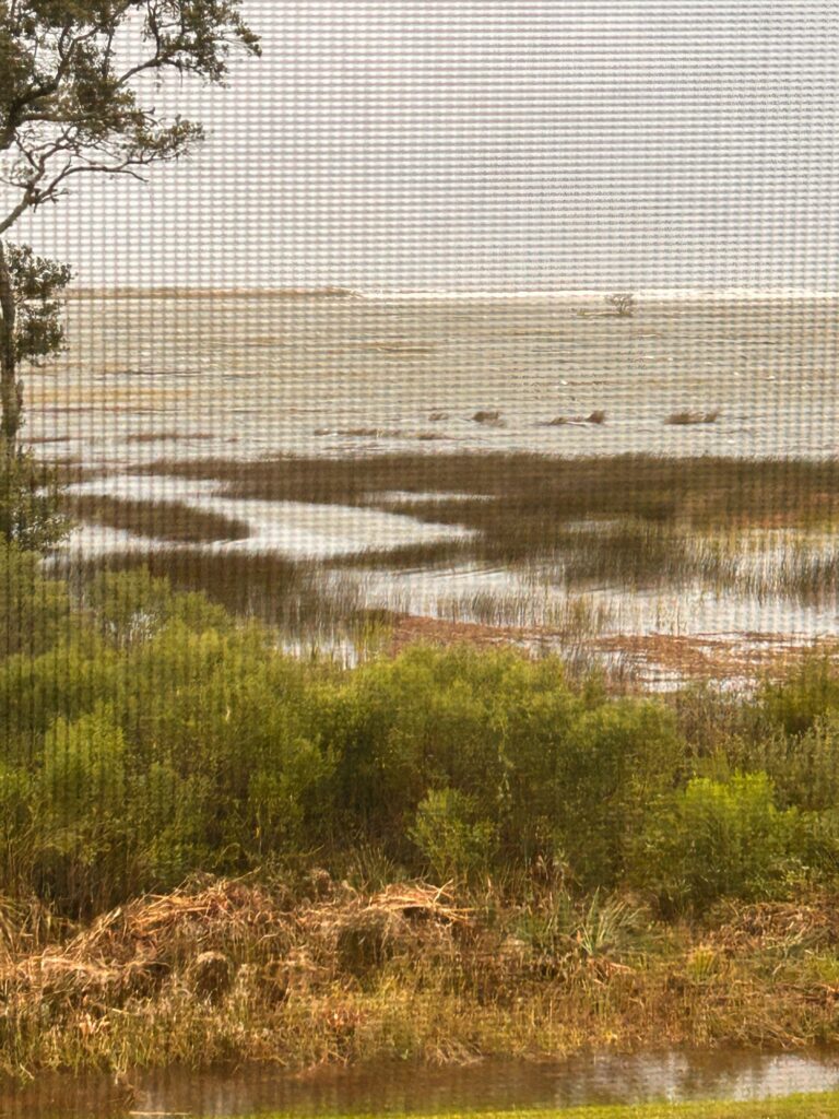 a body of water with plants and trees around it (MyCoast AI)