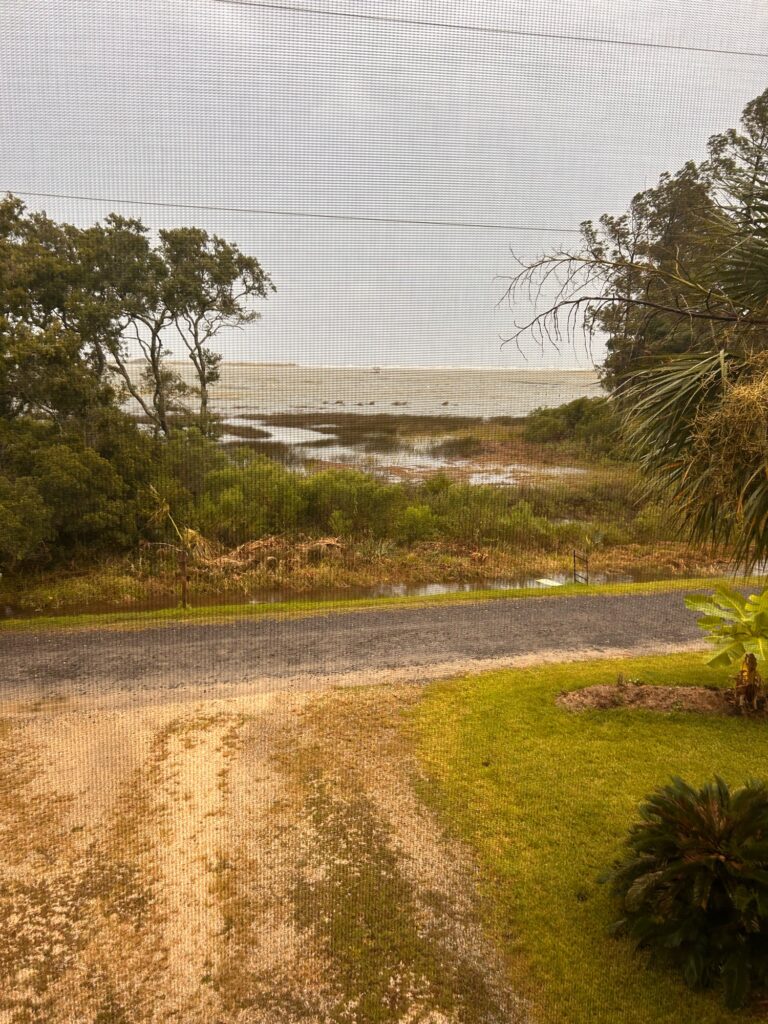 a road with grass and trees (MyCoast AI)