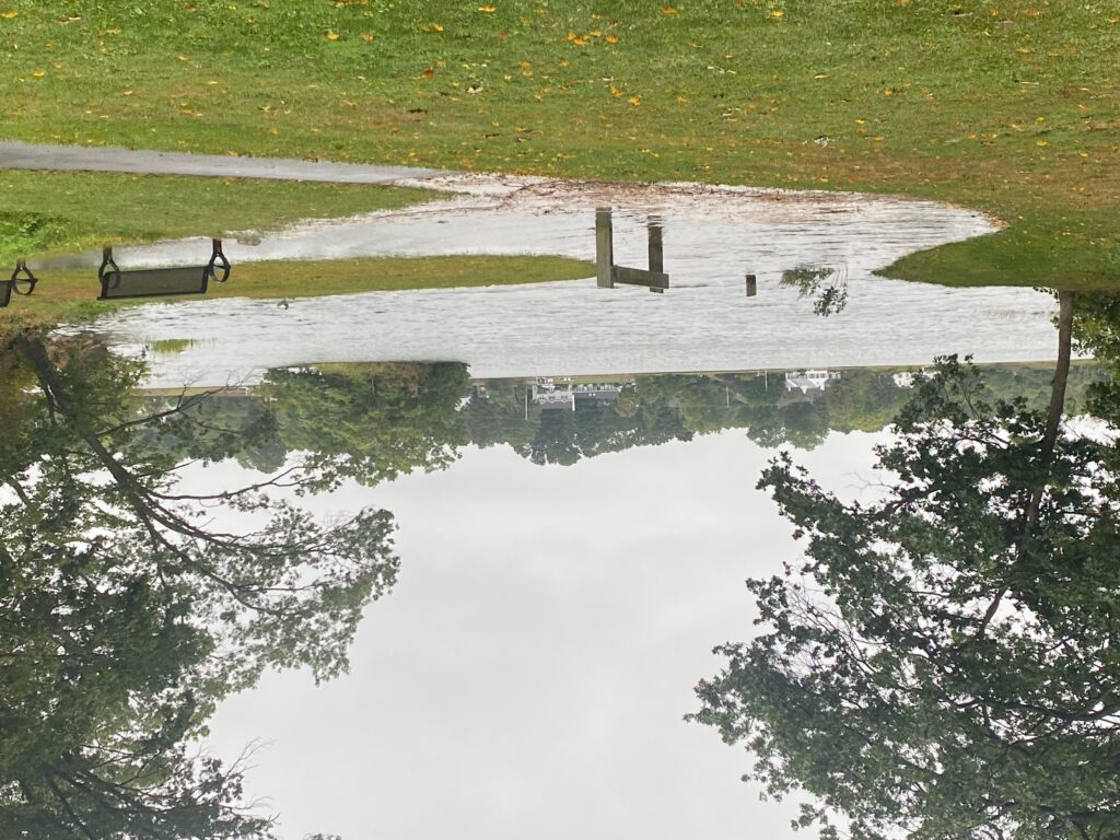 a bench in a pond (MyCoast AI)