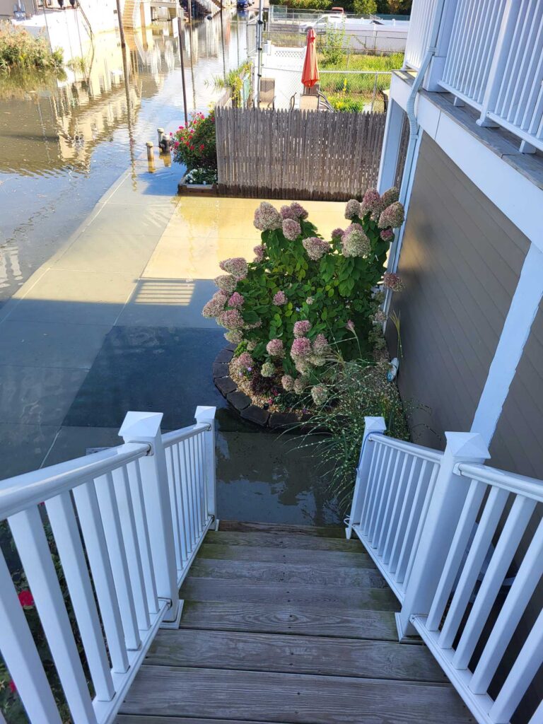 a flower pot on a porch (MyCoast AI)