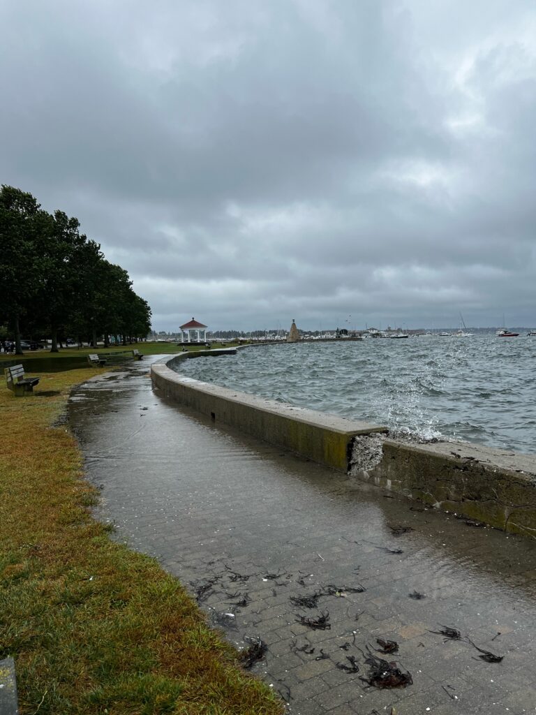 a path next to a body of water with boats in it (MyCoast AI)