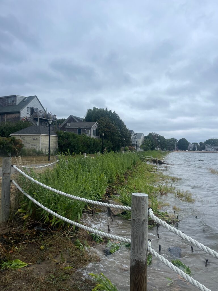 a fence next to a body of water with houses in the background (MyCoast AI)