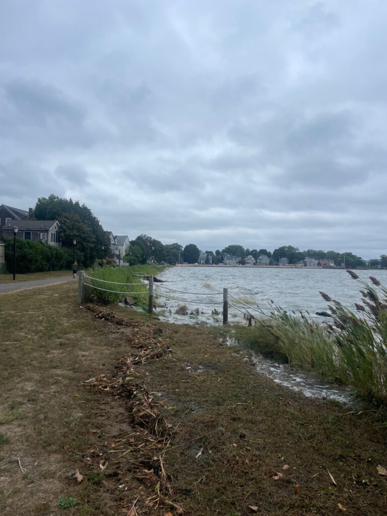 a body of water with a fence and grass around it (MyCoast AI)