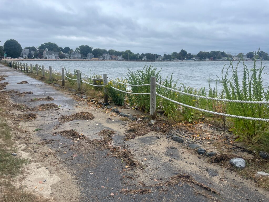 a fence next to a body of water (MyCoast AI)