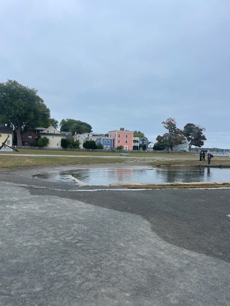 a puddle of water in a neighborhood (MyCoast AI)