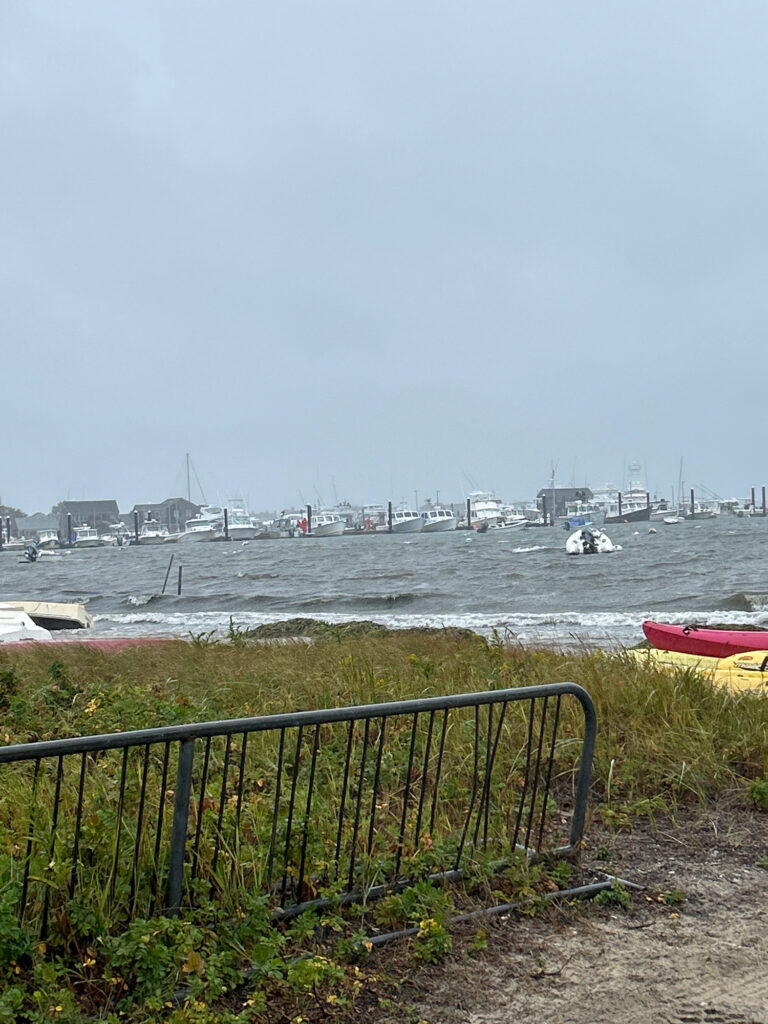 boats in the water (MyCoast AI)