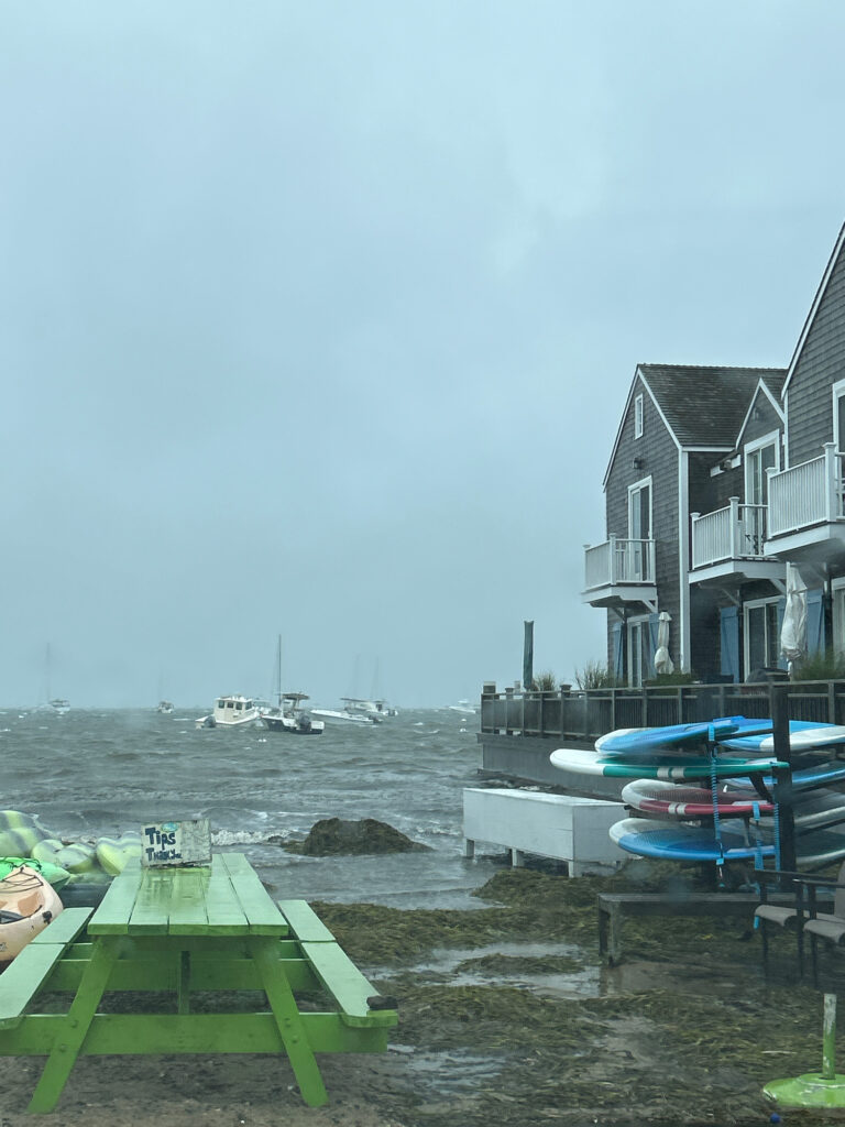 a body of water with boats in it and buildings around it (MyCoast AI)