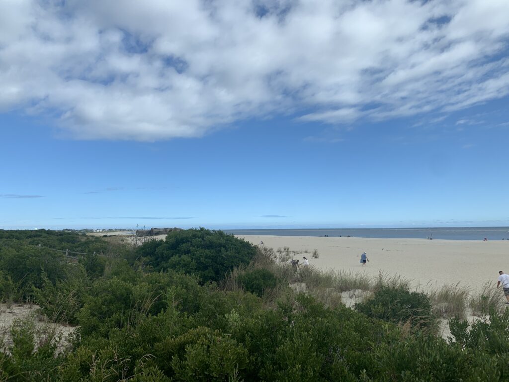 a landscape with trees and bushes (MyCoast AI)
