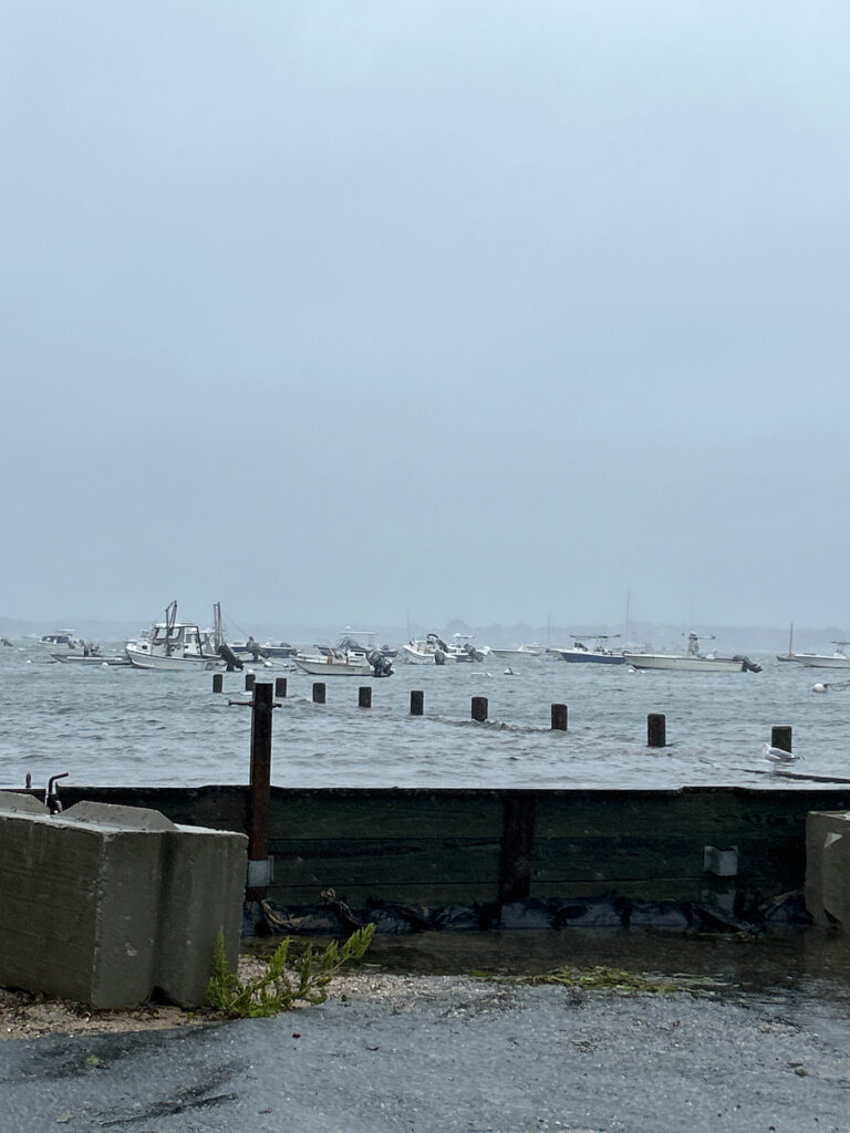 a dock with boats in the water (MyCoast AI)
