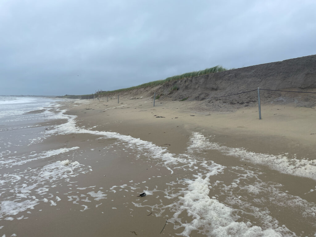 a beach with waves crashing on it (MyCoast AI)