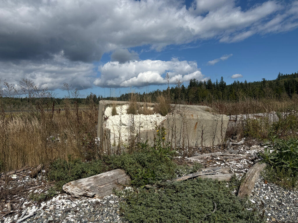 a large concrete structure with trees and bushes around it (MyCoast AI)