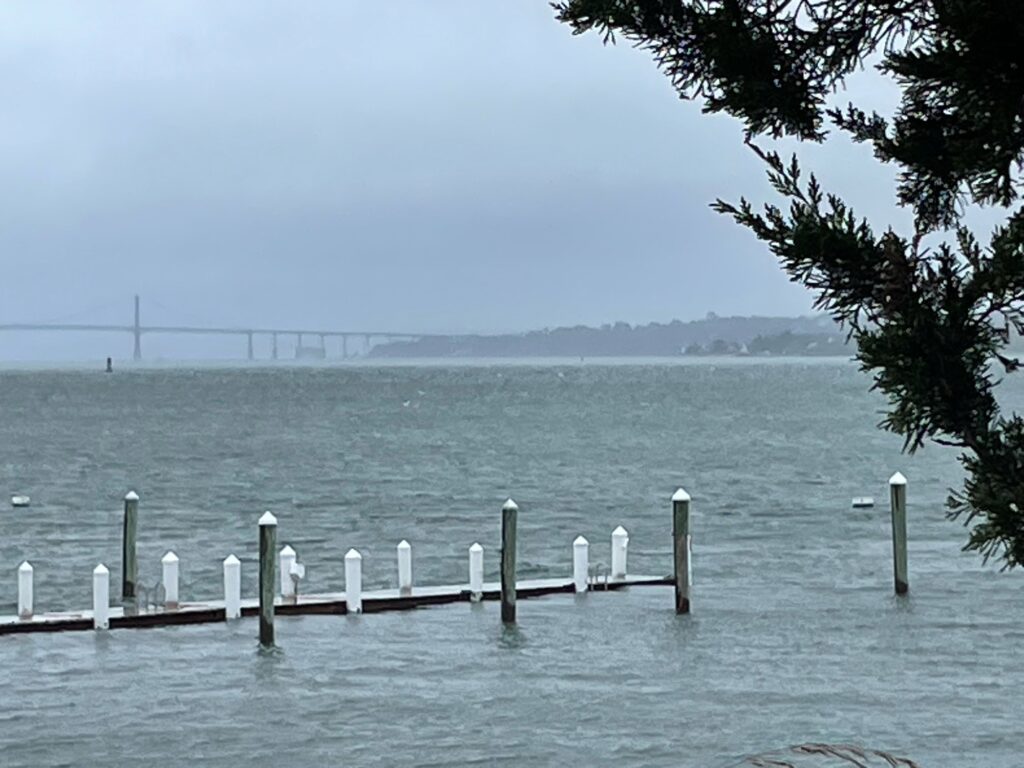 a body of water with a dock and a tree (MyCoast AI)