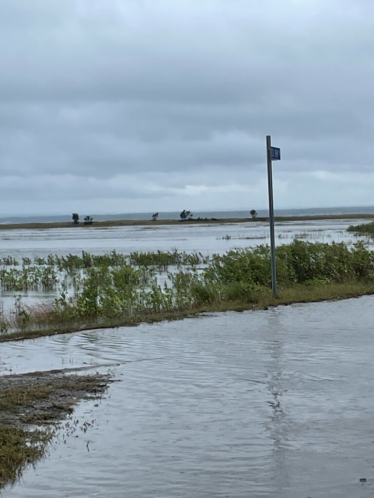 a flooded area with a pole and a sign (MyCoast AI)