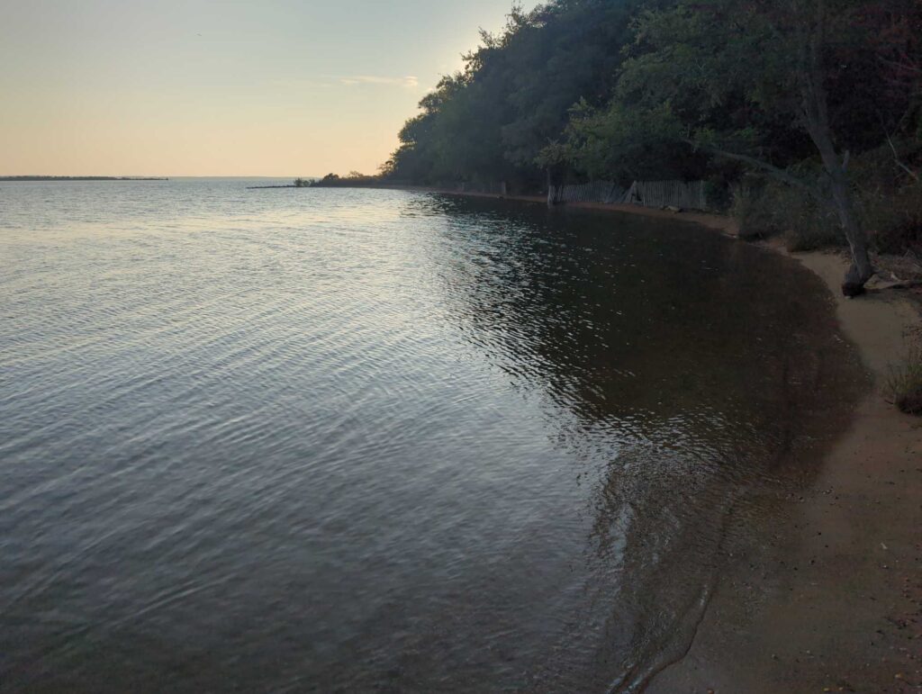 a body of water with trees on the side (MyCoast AI)