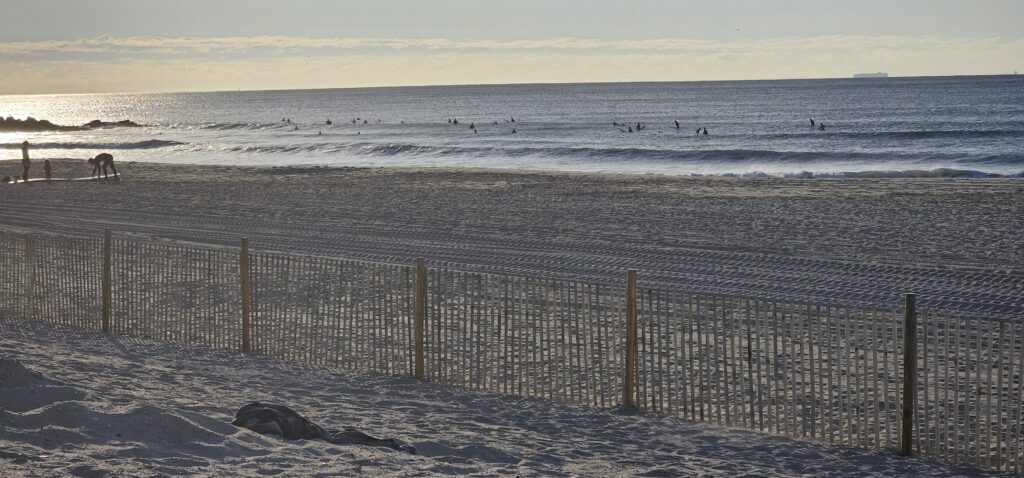 a beach with a fence and a body of water (MyCoast AI)