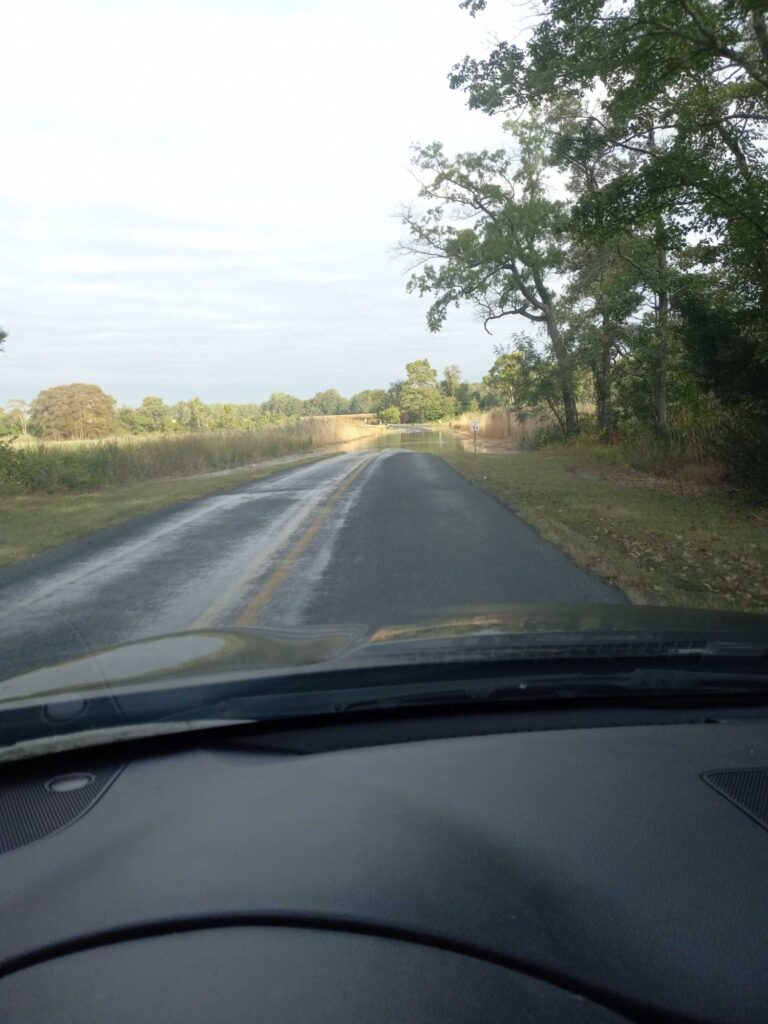 a road with trees on the side (MyCoast AI)