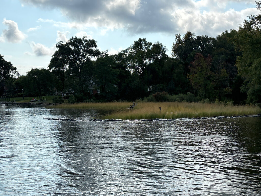 a body of water with trees around it (MyCoast AI)