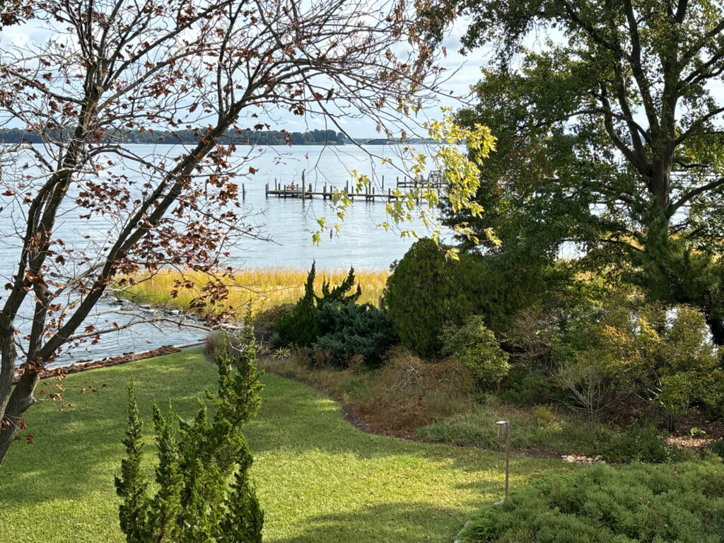 a grassy area with trees and a body of water in the background (MyCoast AI)