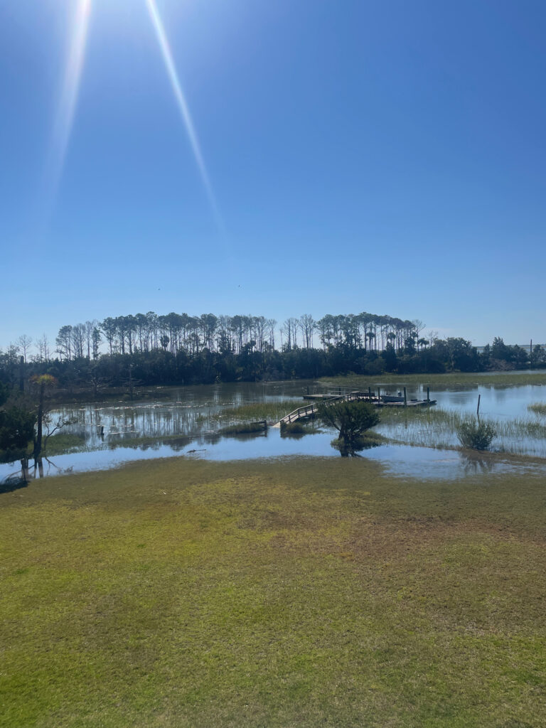 a lake with trees and grass (MyCoast AI)