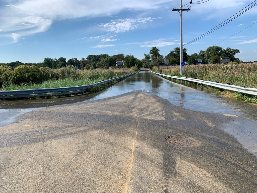 a road with water on the side (MyCoast AI)