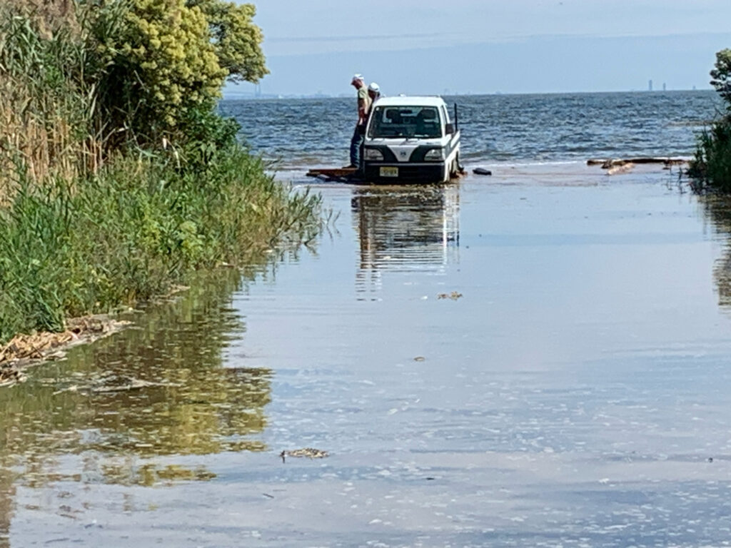 a person standing on a truck in a flooded area (MyCoast AI)