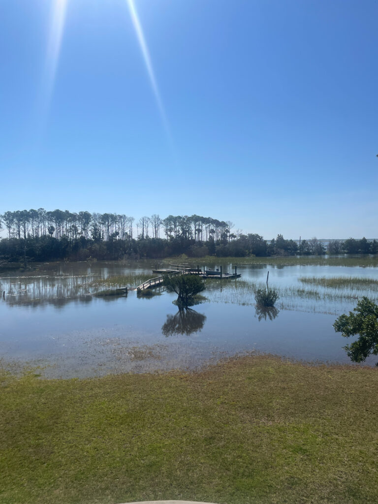 a body of water with trees and grass around it (MyCoast AI)